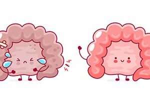 Approche sans FODMAP